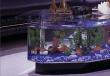 Выбор компрессора для аквариума Самодельный мини компрессор для маленького аквариума