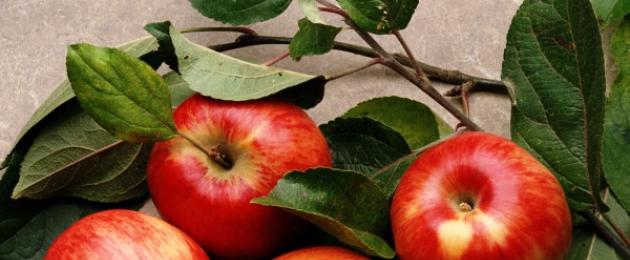 Польза жареных яблок. Какая калорийность яблок и полезные свойства. Выбираем яблоки по цвету