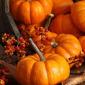かぼちゃをどれくらいの時間調理するか、またはかぼちゃから何をどうやって美味しく調理できますか？