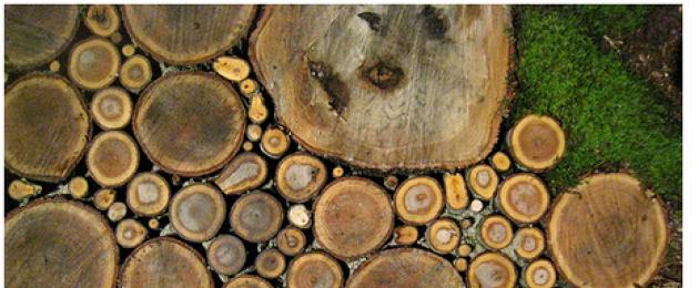 Η δική σας επιχείρηση: πώληση ξυλείας.  Πώληση δέντρων Πώς να πουλήσετε χειροποίητα προϊόντα ξύλου