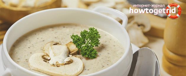 Пошаговый рецепт приготовления грибного супа из замороженных грибов. Грибной суп — рецепты приготовления из свежих, замороженных и лесных грибов Грибной суп и замороженных грибов