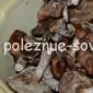 冬のポルチーニ茸の漬物-調理レシピ冬のポルチーニ茸の作り方
