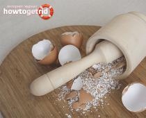 Πόσο ασβέστιο υπάρχει στα τσόφλια των αυγών;