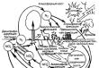 Ciklusi osnovnih nutrijenata Filozofija prirode