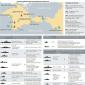 Crnomorska flota Ruske Federacije Ruska Crnomorska flota na Krimu