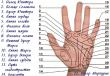 手の子線とその意味