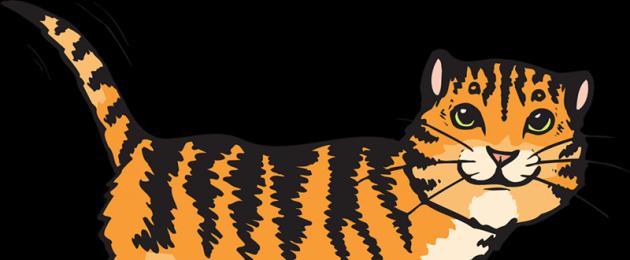 Zašto sanjate jato tigrova?  Gdje je bio tigar?  O čemu sanjate o tigru prema duhovnim izvorima?