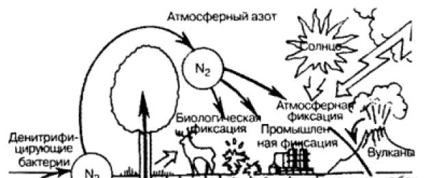 Ο κύκλος των χημικών στοιχείων στη φύση.  Κύκλοι βασικών βιογενών στοιχείων Φιλοσοφία της φύσης.  Συνεξελικτικές επιταγές και οικολογικές αξίες του σύγχρονου πολιτισμού