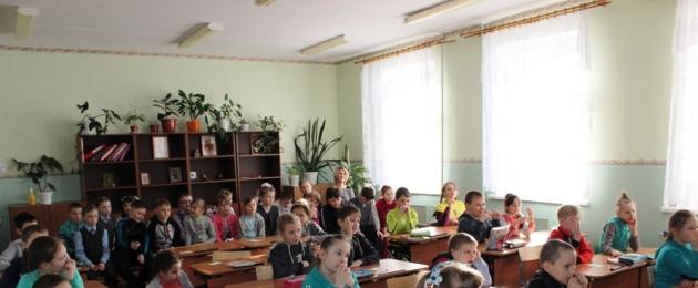 Kako izračunati platu nastavnika u osnovnoj školi.  Plate nastavnika u Rusiji Povećanje plata za nastavnike dodatnog obrazovanja u