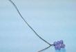 DIY χάντρες wisteria με διαγράμματα, φωτογραφίες και βίντεο