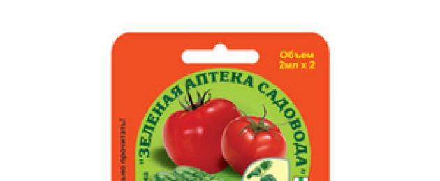 Upute za upotrebu fitolavina za paradajz.  Odličan alat za postizanje rekordnih prinosa ukusnih paradajza - Fitolavin: uputstvo za upotrebu.  Indikacije za upotrebu