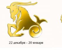 Horoskop zgodności dla kobiet i mężczyzn ze znakami zodiaku Skorpion i Koziorożec