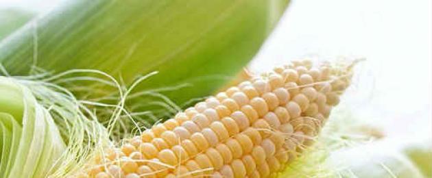 Zašto je kukuruzna svila korisna? Kukuruzna svila: šta pomaže i šta se liječi, kako uzimati. Recept za infuziju sa kukuruznom svilom za žensko zdravlje
